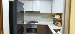 The Lakefront Residences (D22), Condominium #481654111